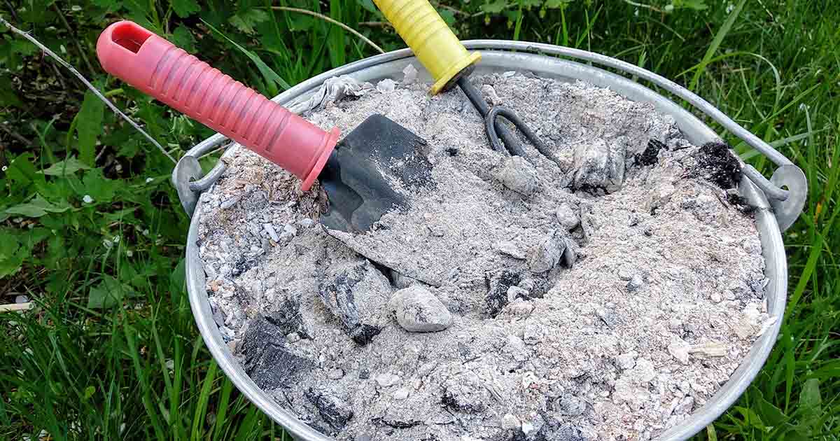 How Long Does It Take Wood Ash to Decompose