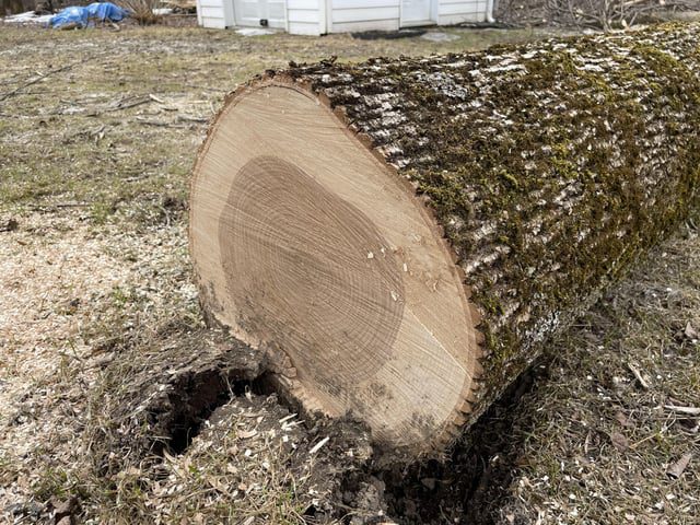 What is Ash Wood Worth