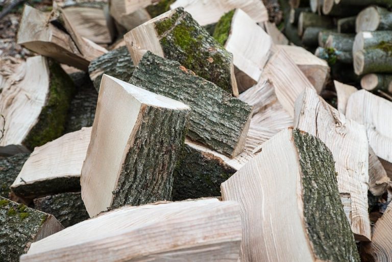 When is the Best Time to Split Ash Wood