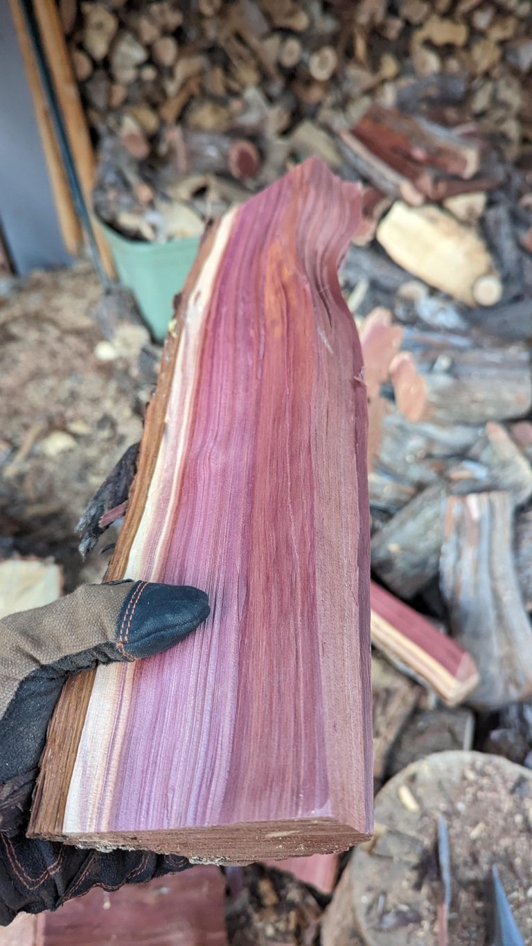 Why Does Ash Wood Smell Bad