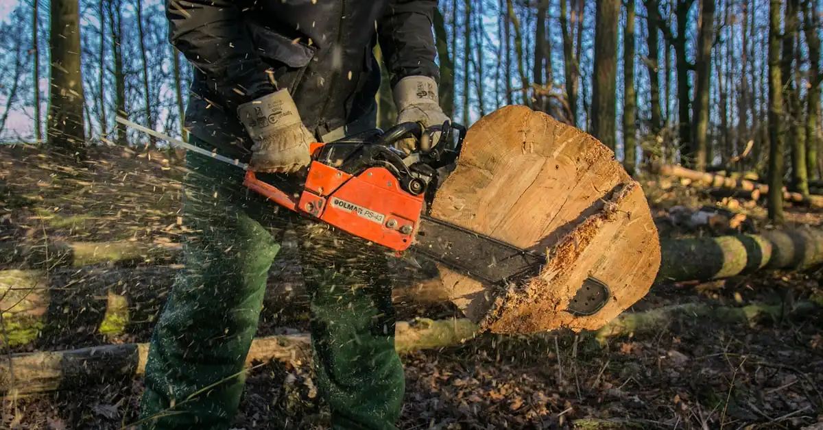 chainsaw operator cutting through a large log outdoors with sawdust flying