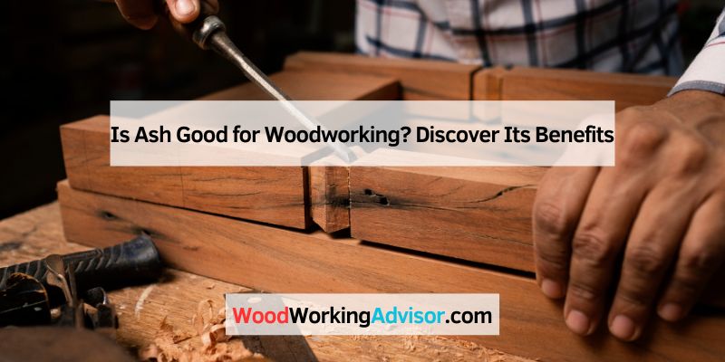 Is Ash Good for Woodworking