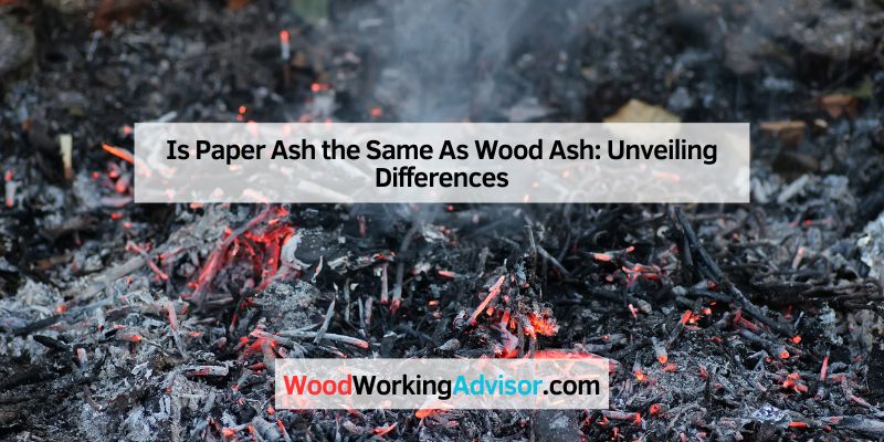 Is Paper Ash the Same As Wood Ash