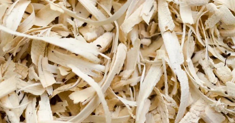 Wood shavings and sawdust from cutting with a cordless reciprocating saw