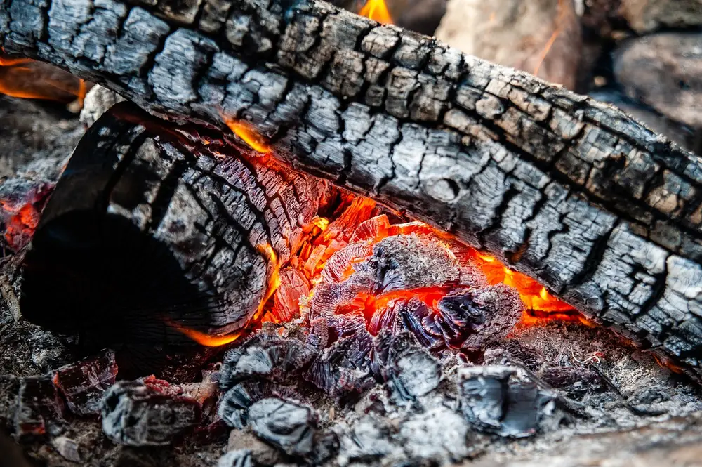 Burning wood logs and glowing embers turning into ash in a fire