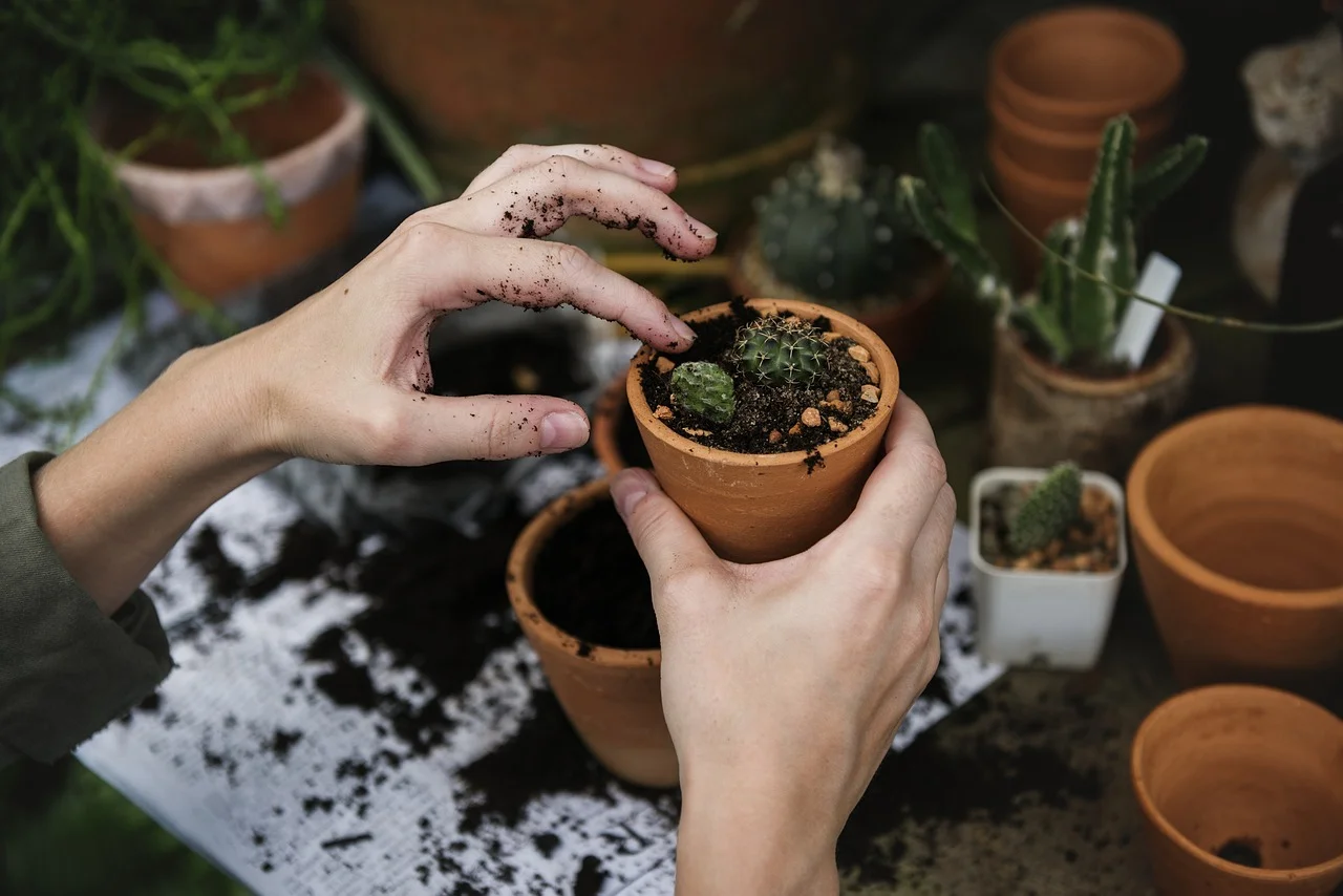 Working soil into a pot by hand before adding a soil amendment
