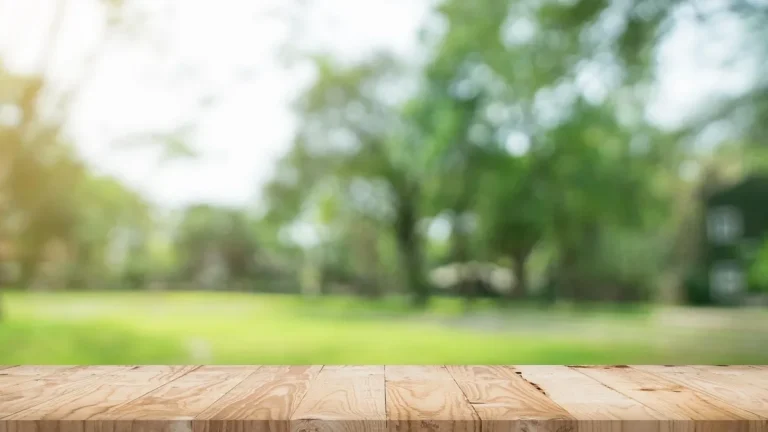 Bare wooden tabletop in front of a blurred green garden
