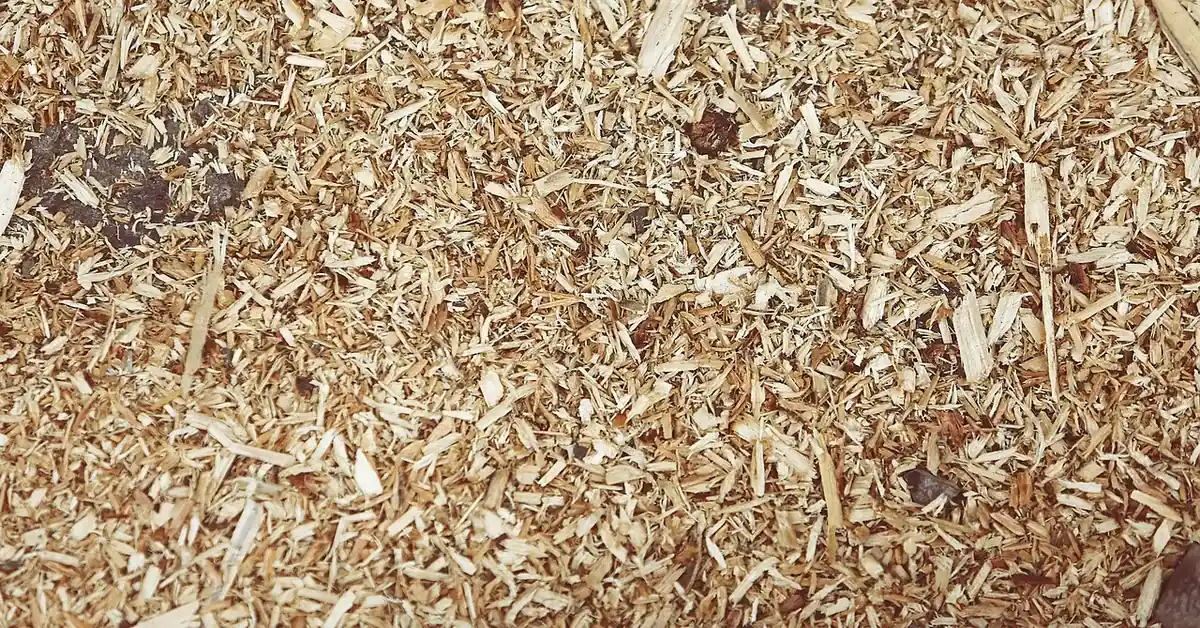Sawdust and wood chip residue, the sawmill byproduct used as raw fiber for MDF