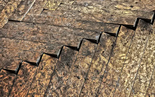 Swollen, water-damaged wood flooring showing fiber expansion and surface breakdown Swollen, water-damaged wood flooring showing fiber expansion and surface breakdown