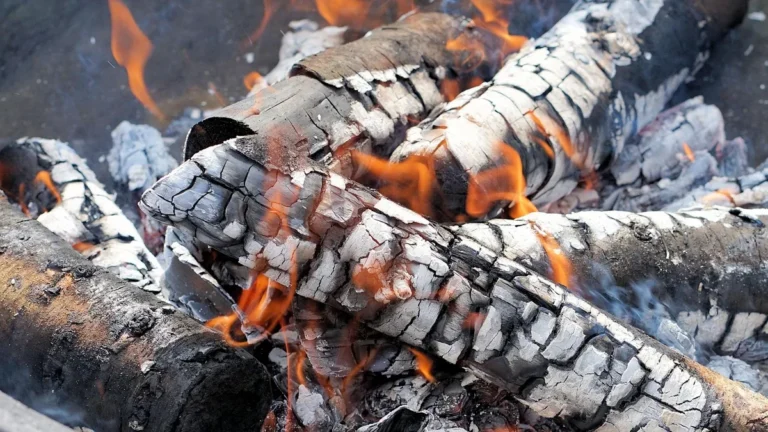 Hardwood logs burned down to white ash in a fire pit