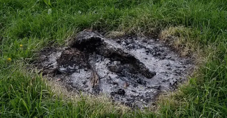 cooled wood ash remains in a grass fire pit after a campfire burned out
