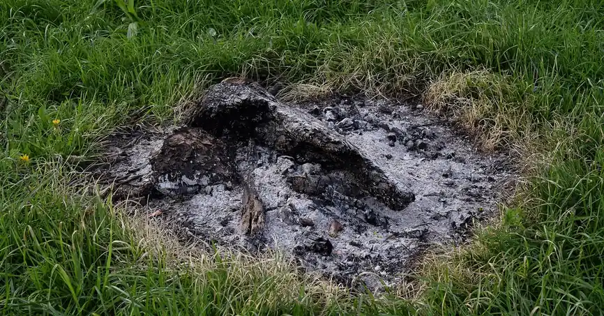 cooled wood ash remains in a grass fire pit after a campfire burned out