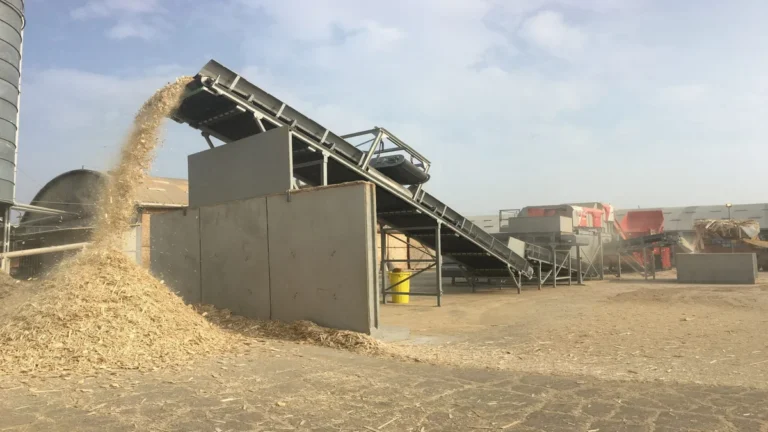 Wood chips and shavings being conveyed at a mill, the raw material MDF is made from