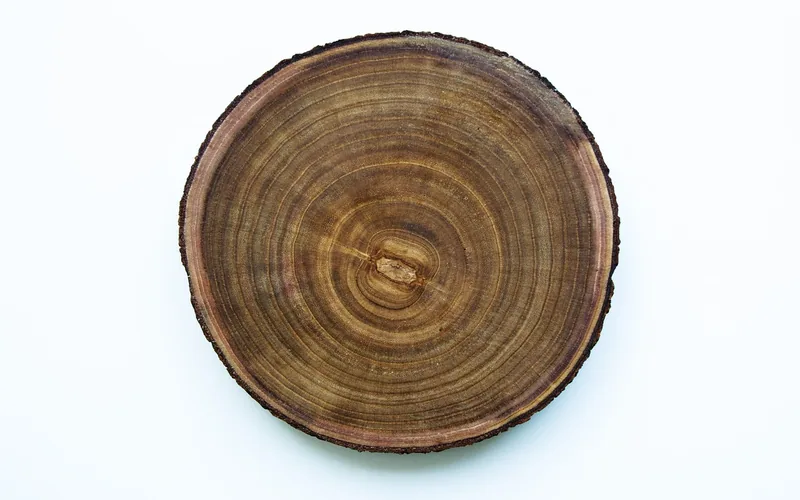 wood log cross section showing growth rings used for endgrain species identification wood log cross section showing growth rings used for endgrain species identification