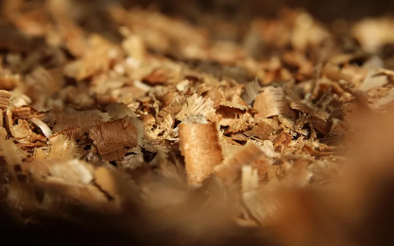 loose wood flakes and chips similar to the random-oriented material used in waferboard loose wood flakes and chips similar to the random-oriented material used in waferboard