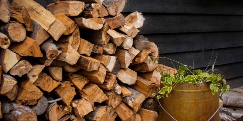 A Wide Selection of Firewood for Every Need