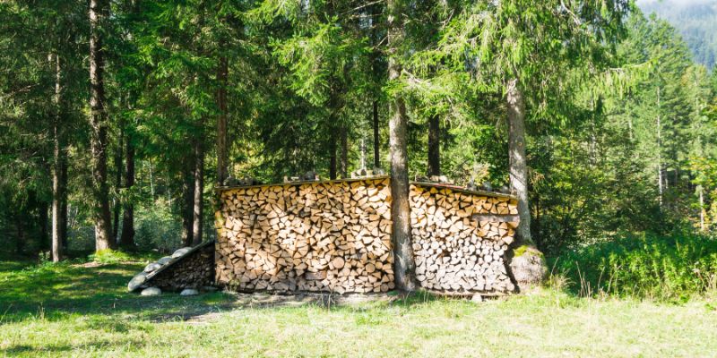 Choosing the Right Location for Your Firewood Storage