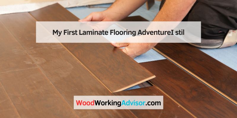 My First Laminate Flooring AdventureI stil