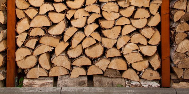 Types of Firewood and Their Uses