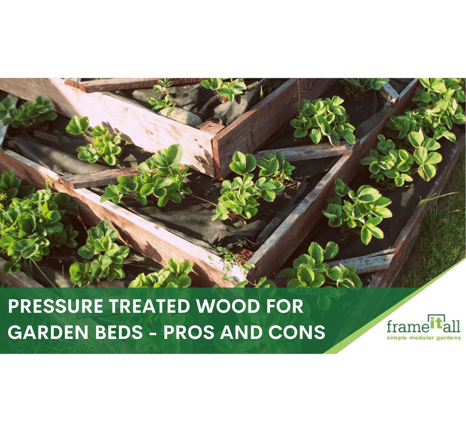 Can You Use Pressure Treated Wood for a Vegetable Garden