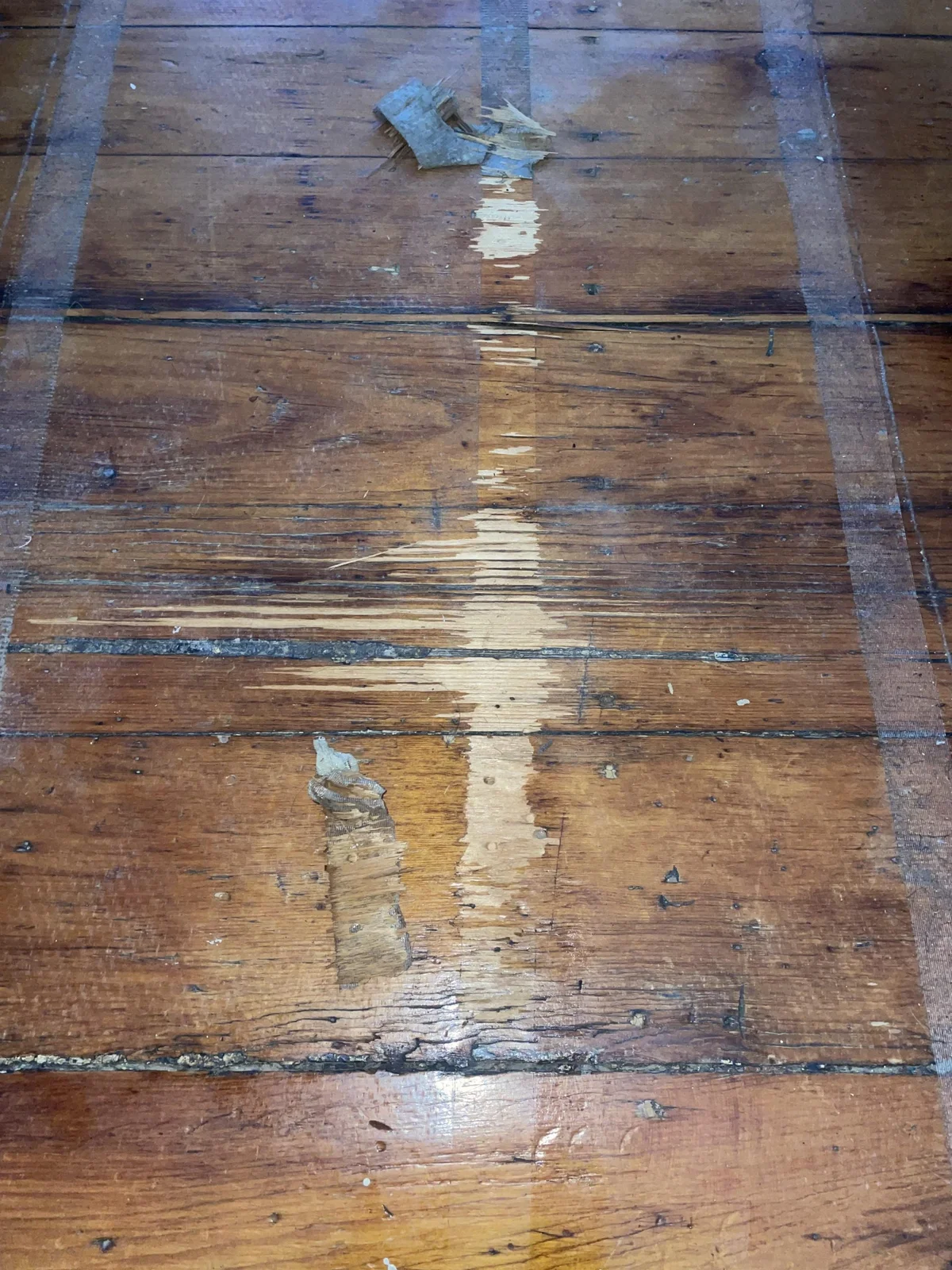 Old carpet tape residue pulled up along with the wood floor finish, leaving a stripped light patch