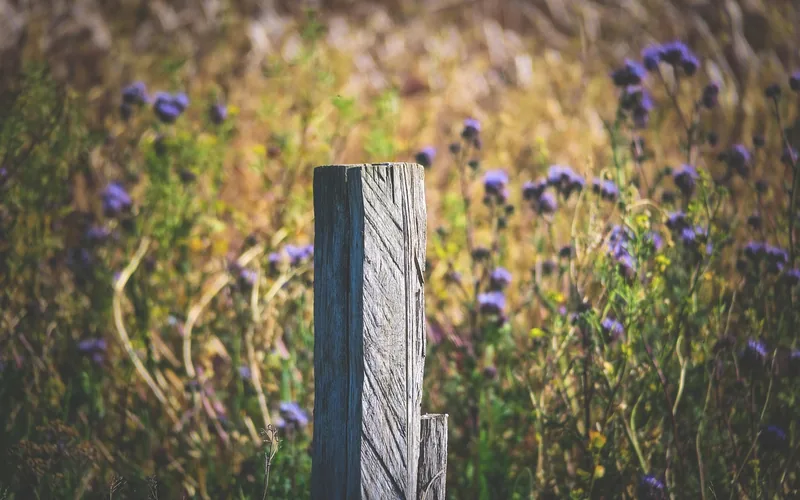Wooden fence post installed in ground -- a classic UC4A ground contact pressure treated lumber application
