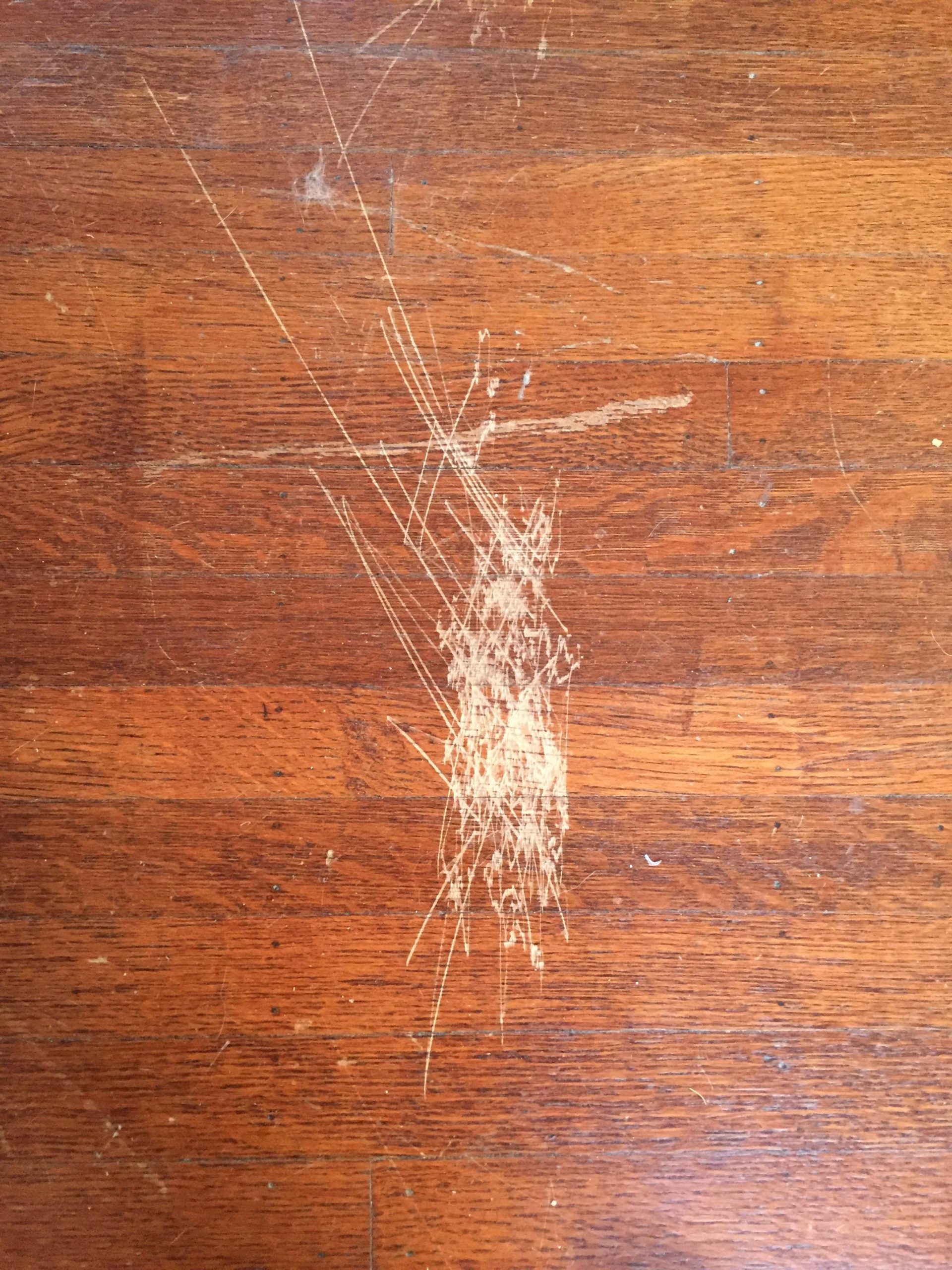 Hide Scratches in Wood Floor