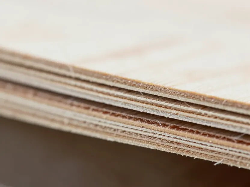 Close-up of a marine grade plywood edge showing void-free, tightly bonded veneer layers