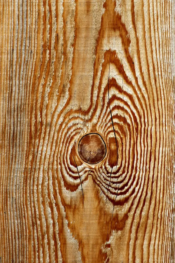 Close-up of pine grain and a knot, the kind of wood that takes stain unevenly