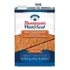 Thompson's WaterSeal Semi-Transparent Wood Stain gallon can in Natural Cedar