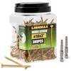 LIONMAX 3-inch star drive exterior deck screws