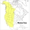 Peterson Field Guide to Western Trees book cover