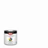 Krylon ColorMaxx Exterior Acrylic Latex Paint