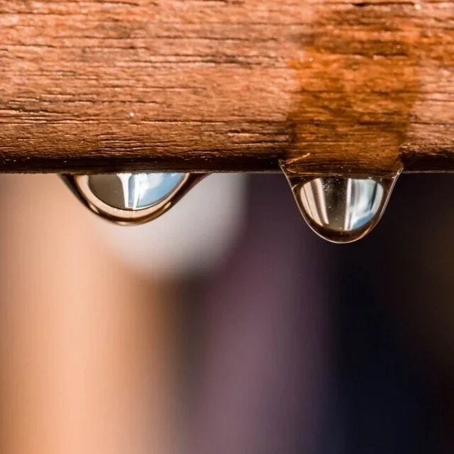 How Long to Wait before Painting Pressure Treated Lumber: Expert Tips