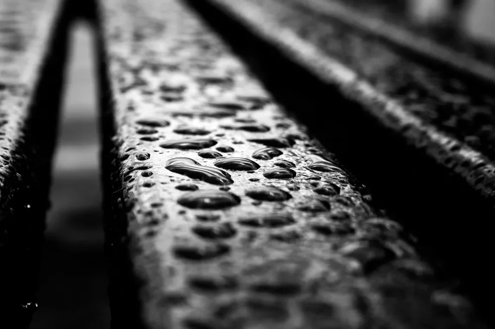 Water beads on dark deck boards after rain