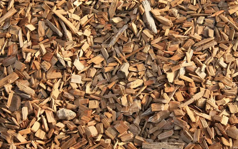pile of dry hardwood chips used for electric smoker flavor pile of dry hardwood chips used for electric smoker flavor