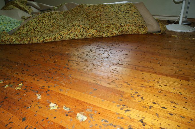 How to Clean Hardwood Floors After Removing Carpet