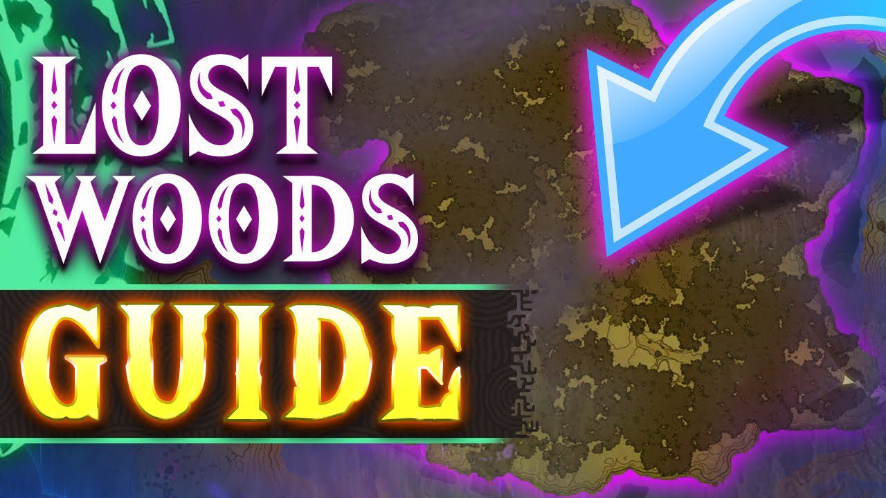 How to Get Through Lost Woods Tears of the Kingdom
