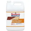 Thompson's WaterSeal Maximum Strength Deck Stripper 1 gallon jug