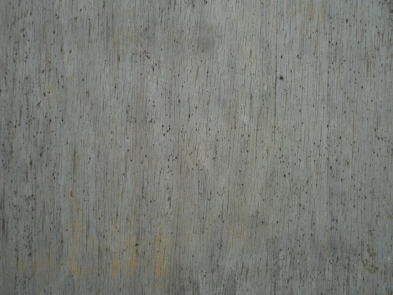 Dark mold spotting on gray weathered wood boards