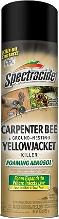 Spectracide Carpenter Bee and Ground-Nesting Yellowjacket Killer, 16 oz foaming spray
