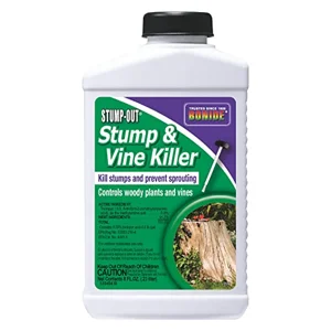 Stump-Out Stump & Vine Killer, 8 oz with Applicator