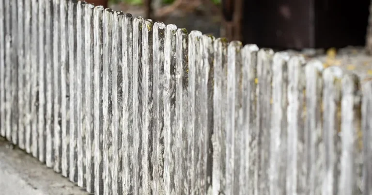 Weathered gray wood picket fence with mildew and lichen staining