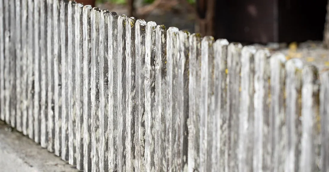 Weathered gray wood picket fence with mildew and lichen staining