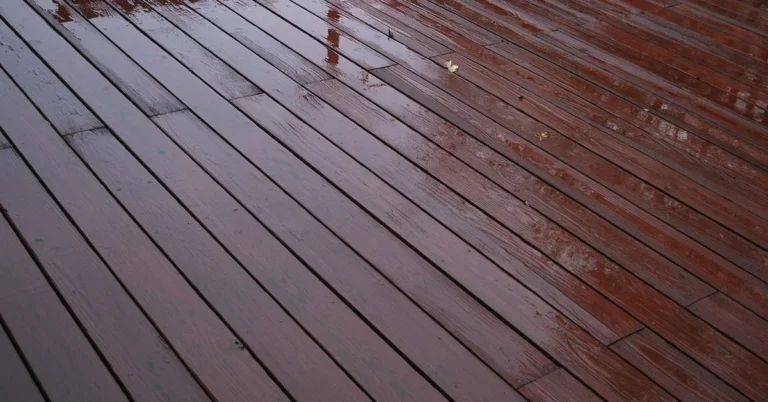Stained wood deck boards wet from rain with water sitting on the finished surface