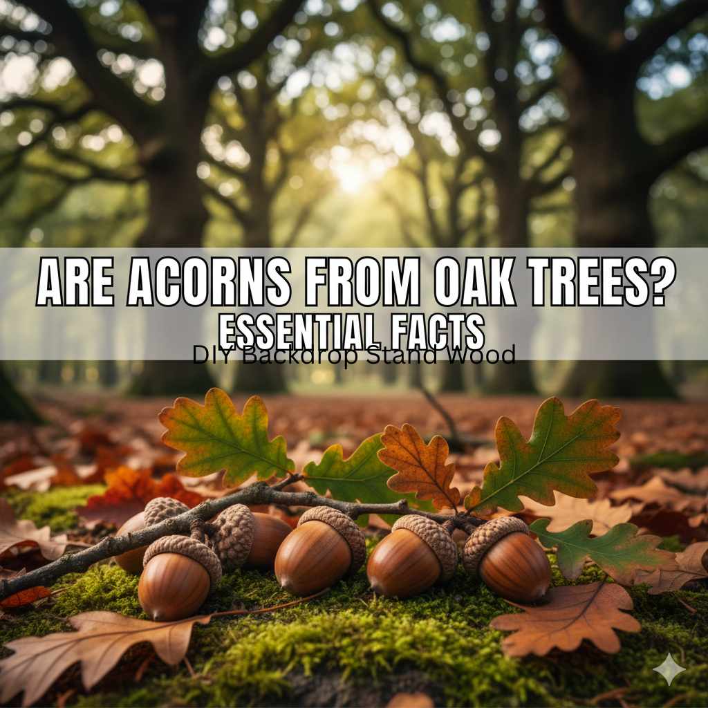 Are Acorns From Oak Trees: Essential Facts