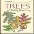 Trees of North America Golden Field Guide
