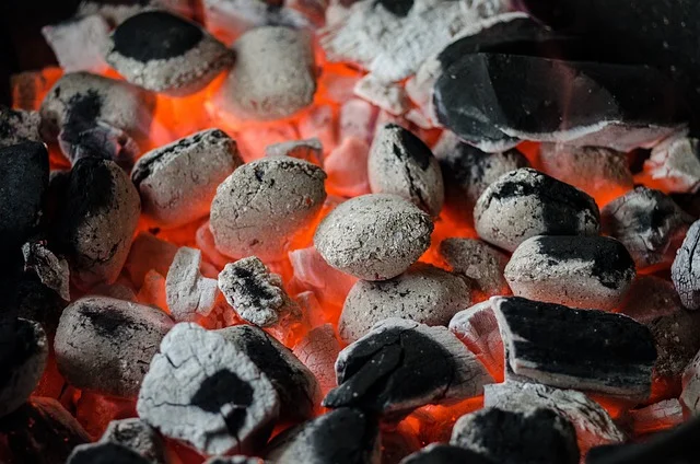 When Should You Clean the Ash