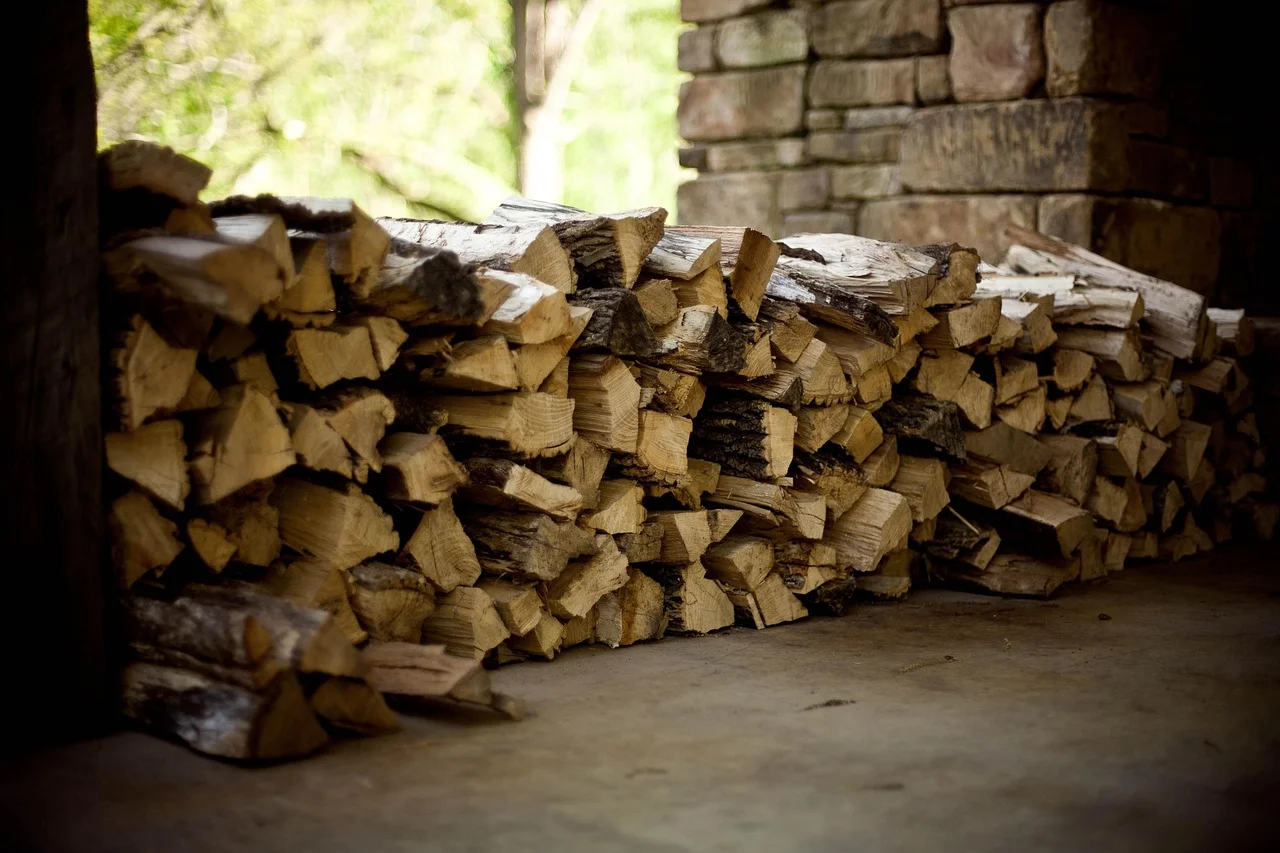 Firewood stacked close to a stone wall, exactly the damp, shaded spot wood roaches nest in Firewood stacked close to a stone wall, exactly the damp, shaded spot wood roaches nest in