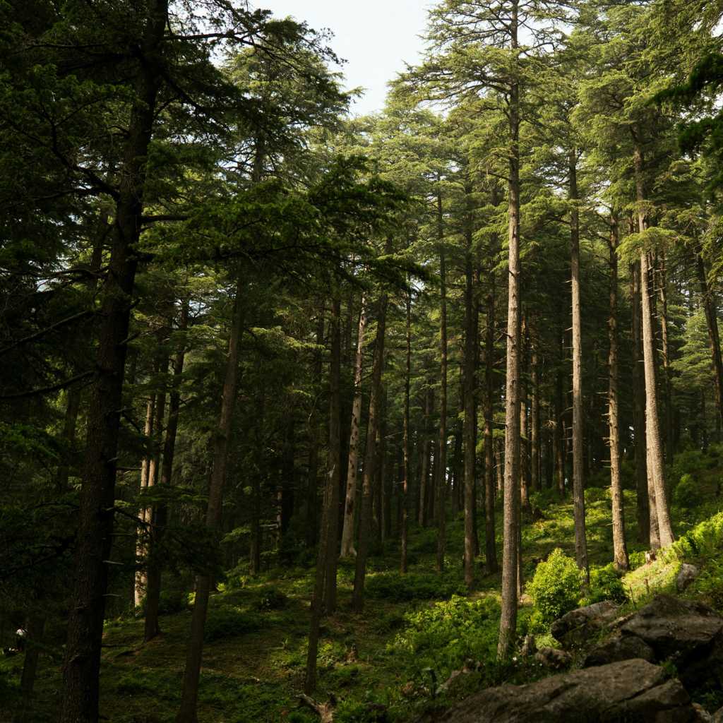 Career, Achievements And Controversies